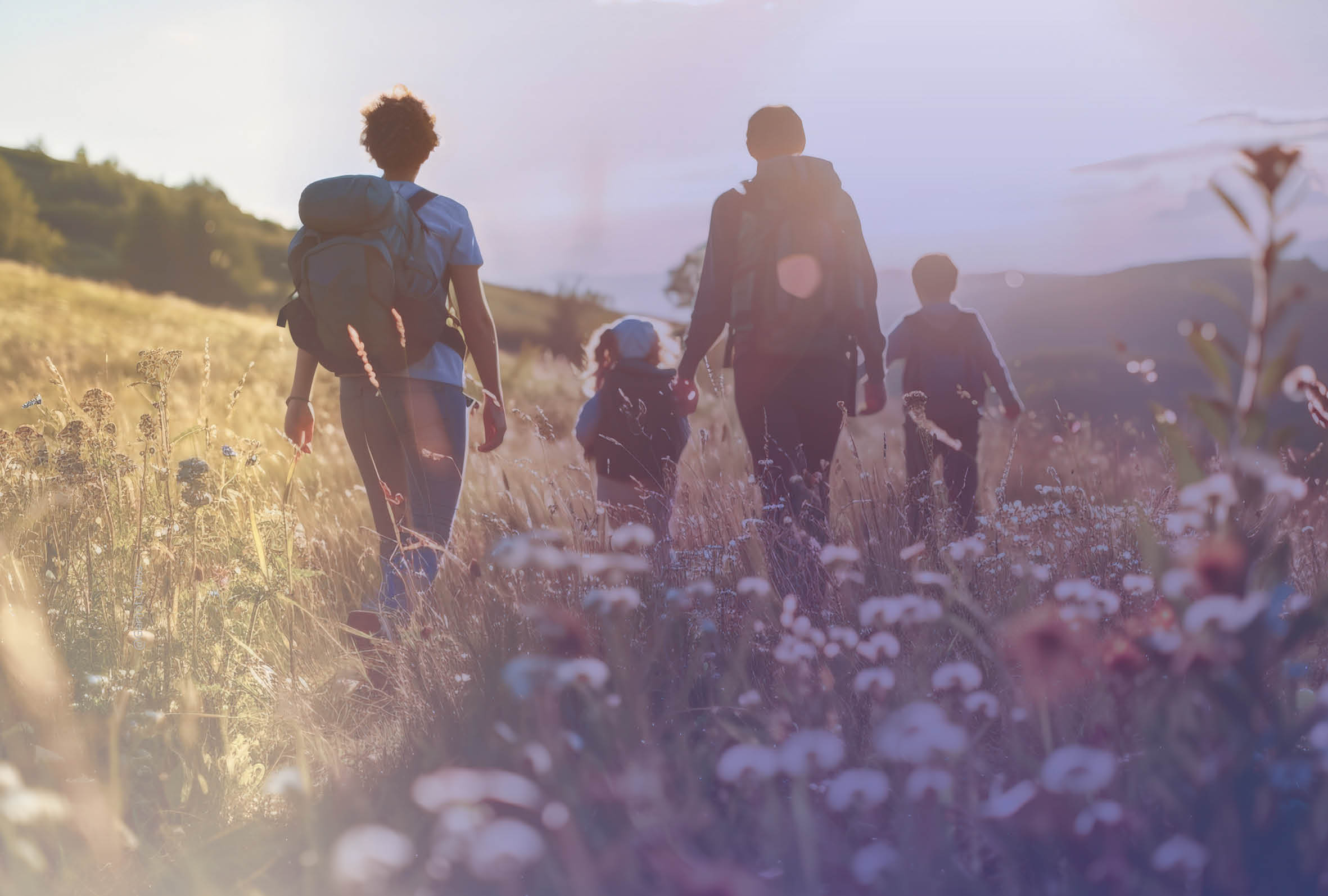Familie im Sonnenlicht einer Blumenwiese